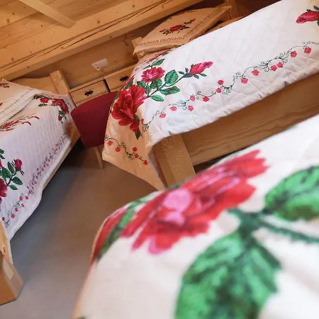 Góralskie Dwa Misie Domek alpejski Bukowina Tatrzańska